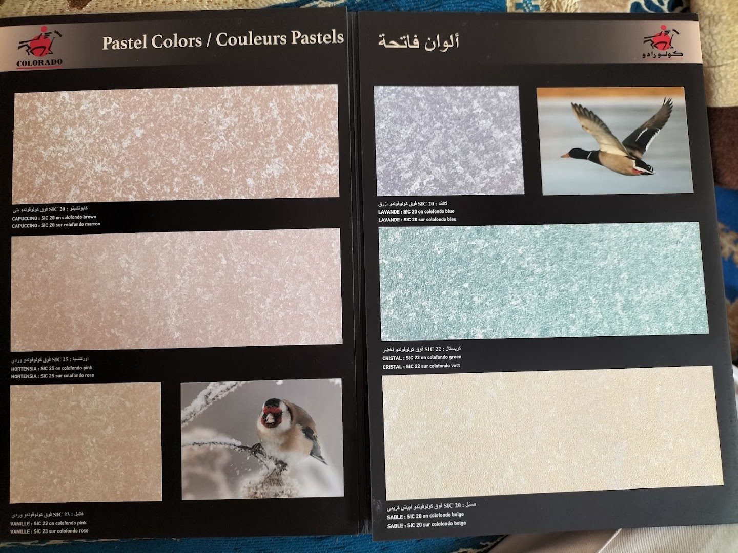 Pinturas Mediterráneas · Fotos 1